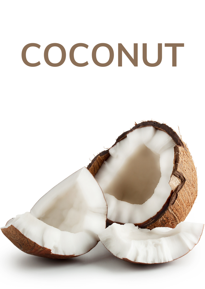 ココナッツ製品